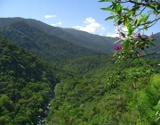 Parque Nacional do Itatiaia 2