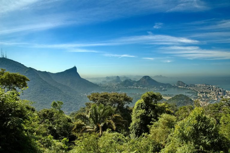 Fotos da Mata Atlântica