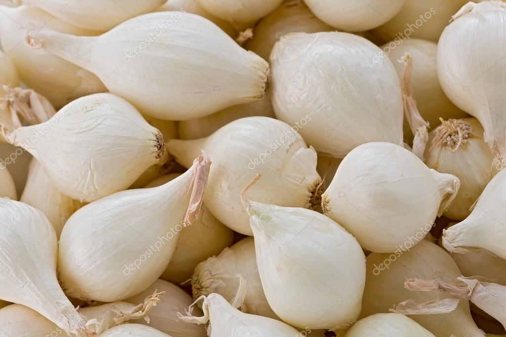 Cebola Pérola: Características, Caramelizada, Em Conserva e Assada