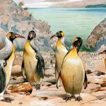 Pinguim Palaeeudyptinae Gigante