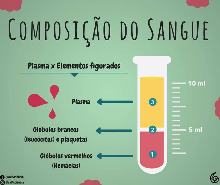 Composição do Sangue