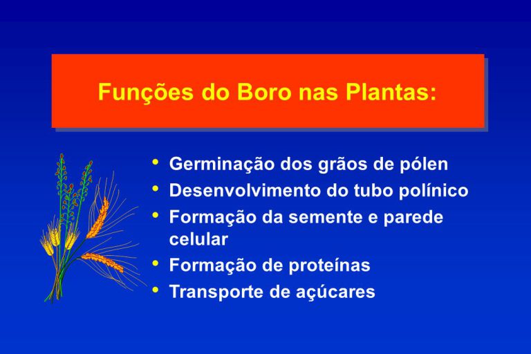 Funções do Boro nas Plantas