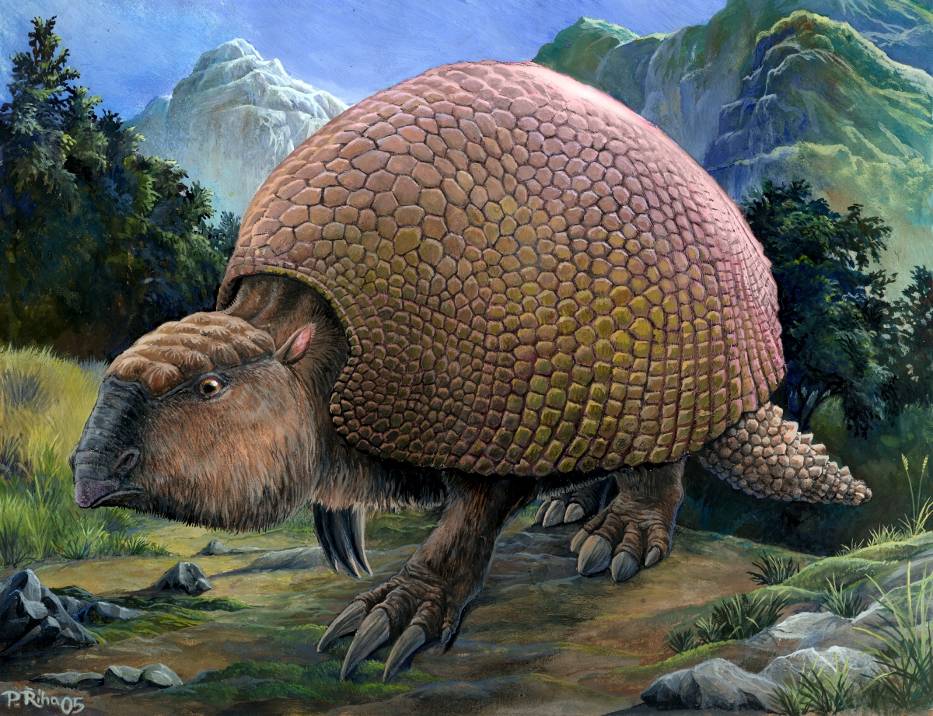 Tatu Gigante Pré-Histórico já Extinto