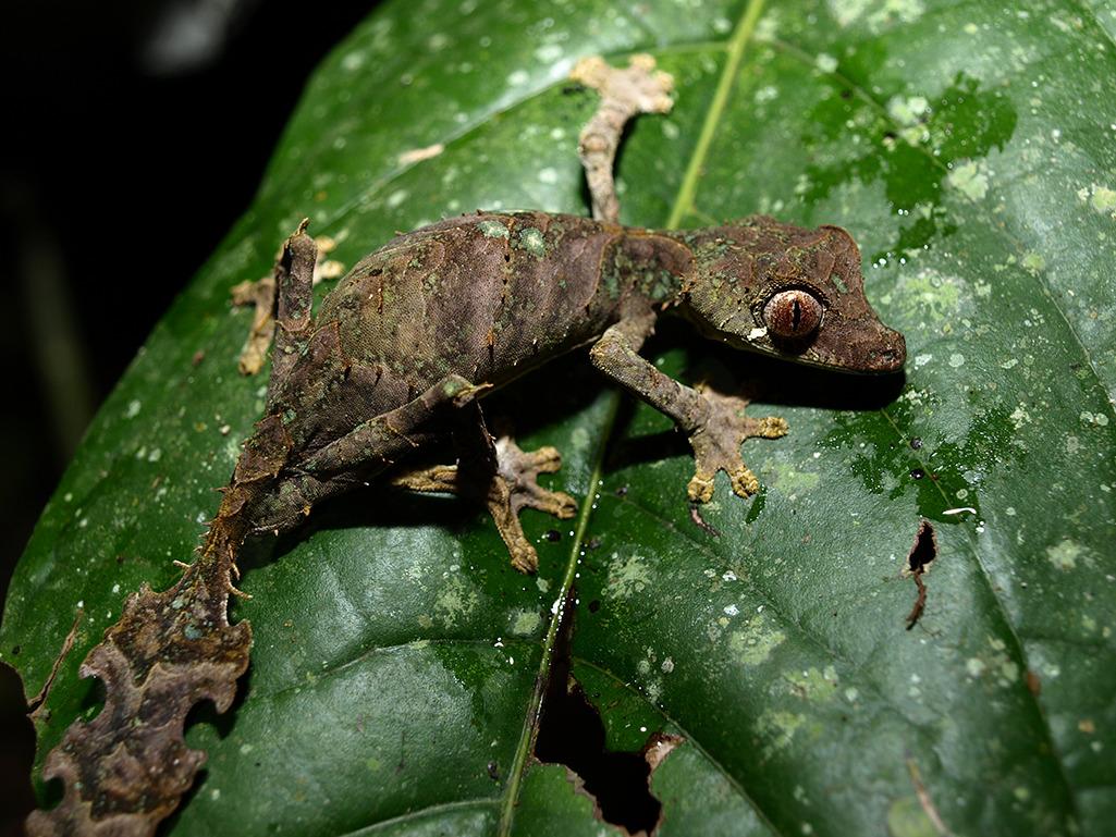 O que é Homocromia e Homotipia? Qual a Diferença?