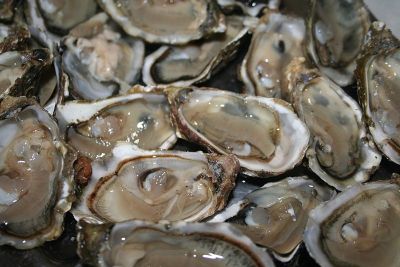 Ostra: Reino, Filo, Classe, Ordem, Família e Gênero