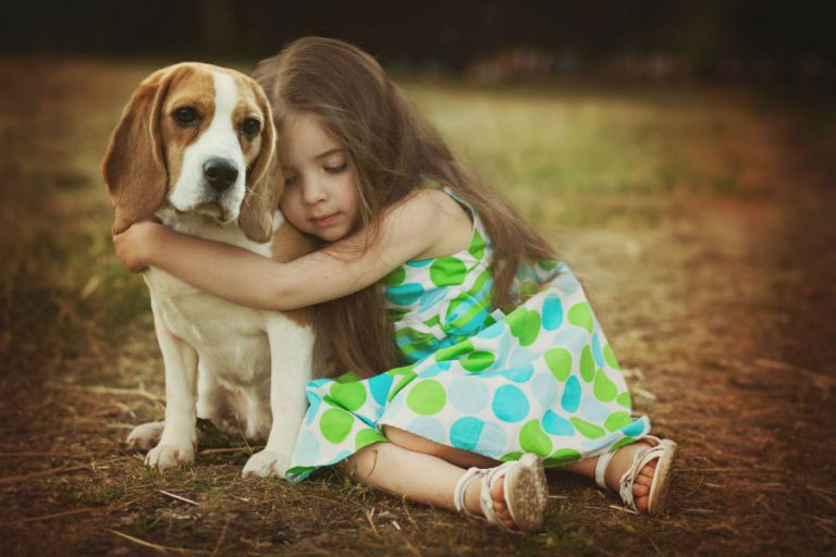 Beagle e as Crianças