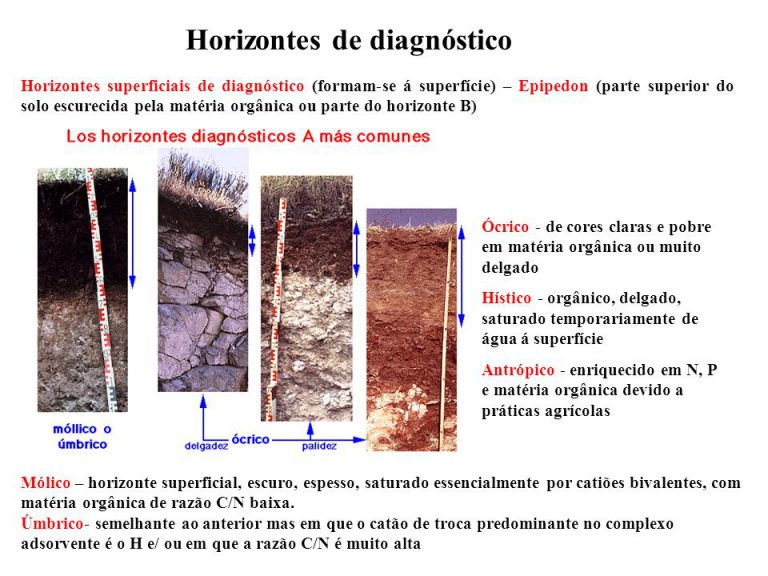 Horizonte Diagnóstico