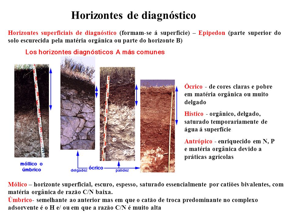 O Que é Um Horizonte Diagnóstico? Como Ele Acontece?