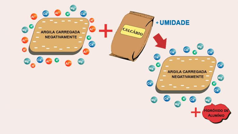 O que é CTC? Como Calcular a CTC Efetiva? Para que Serve?