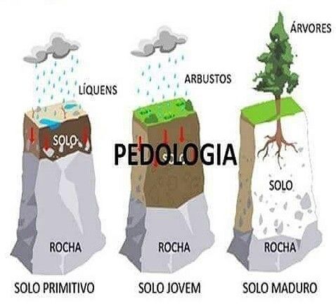 O Que É Pedologia? O Que Ela Estuda E Como Funciona?