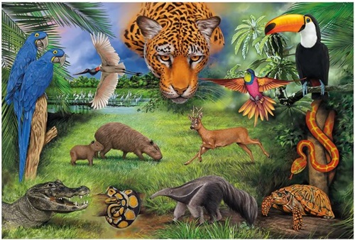 Que Animais Representam a Fauna Brasileira?