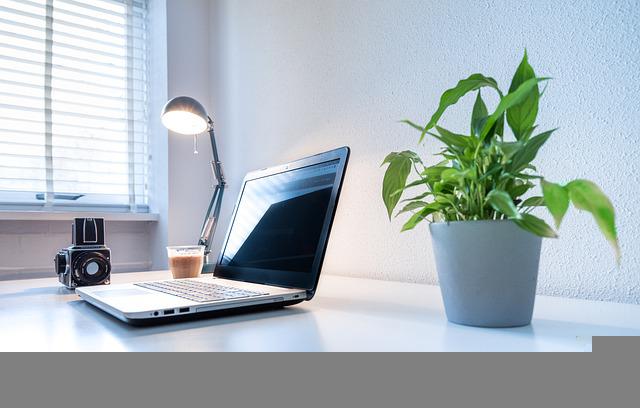 Porque é Importante ter Plantas em Casa?