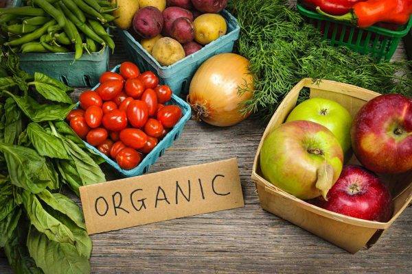 Agricultura Orgânica: Preservando o Solo para um Futuro Sustentável