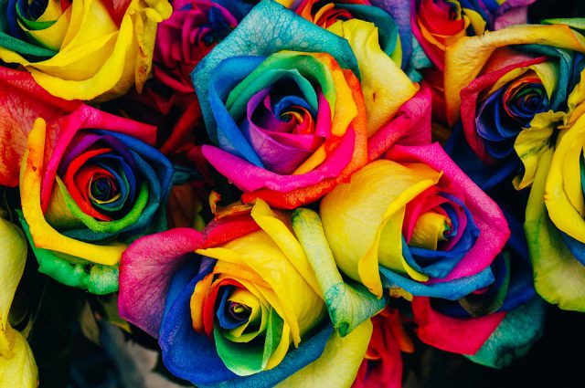 Flores Raras em Perigo: Estratégias de Preservação