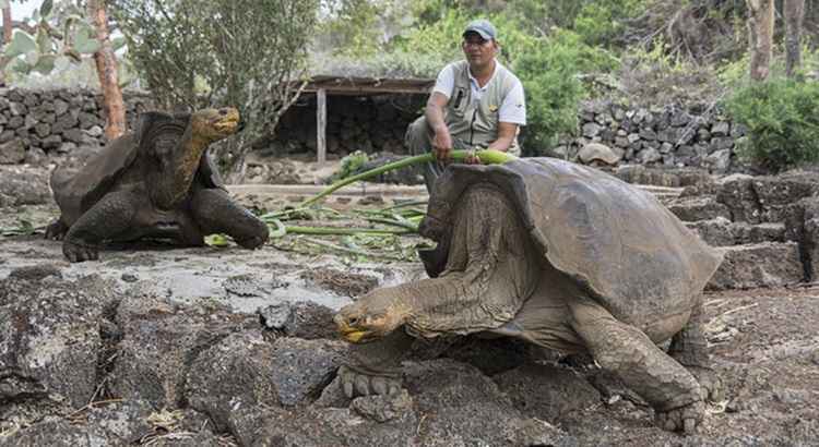 Animais com Longevidade Extrema