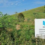 Collard Ambiental