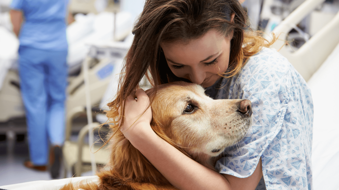 Os benefícios terapêuticos de ter um pet em casa