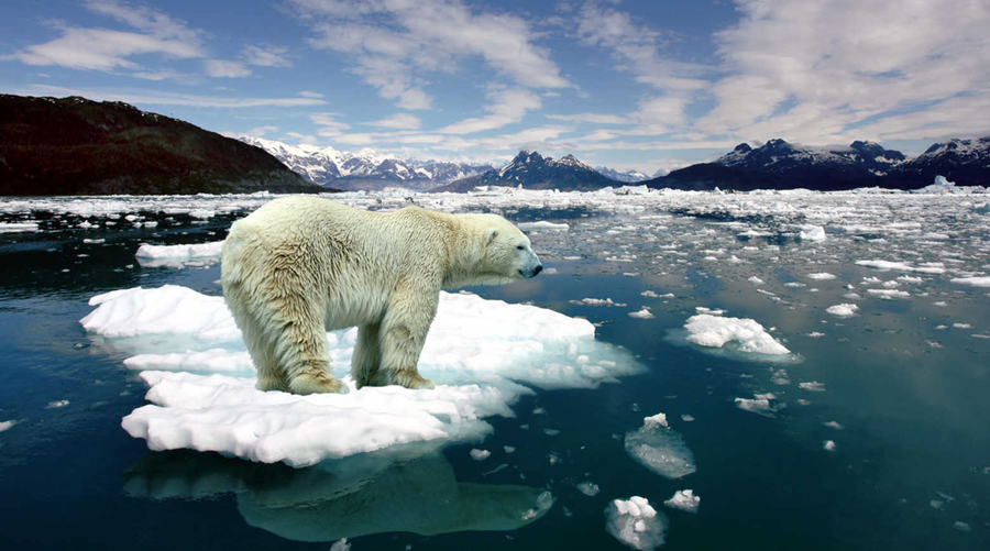 Como o degelo polar afeta os níveis dos oceanos?