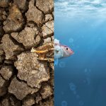 mudanças climáticas nos mares