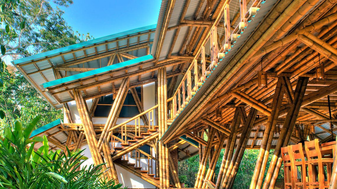 Bambu na Construção Sustentável: guia completo de uso e vantagens
