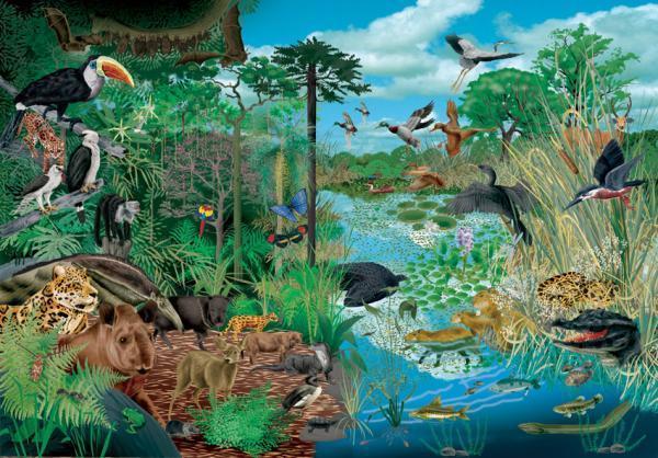 O que diferencia um ecossistema terrestre de um aquático?