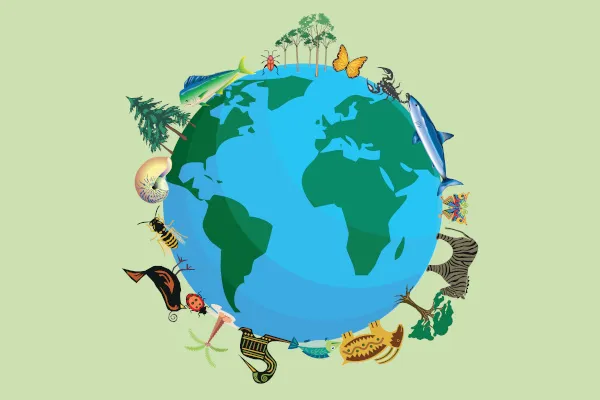 Como a biodiversidade influencia a resiliência dos ecossistemas?
