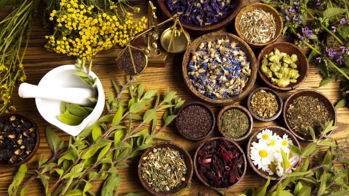Plantas medicinais e sua importância na medicina tradicional