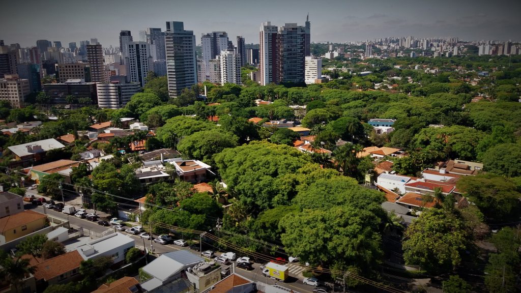 O papel das florestas urbanas na qualidade do ar das cidades